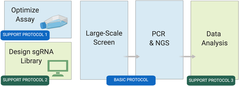 Figure 1: