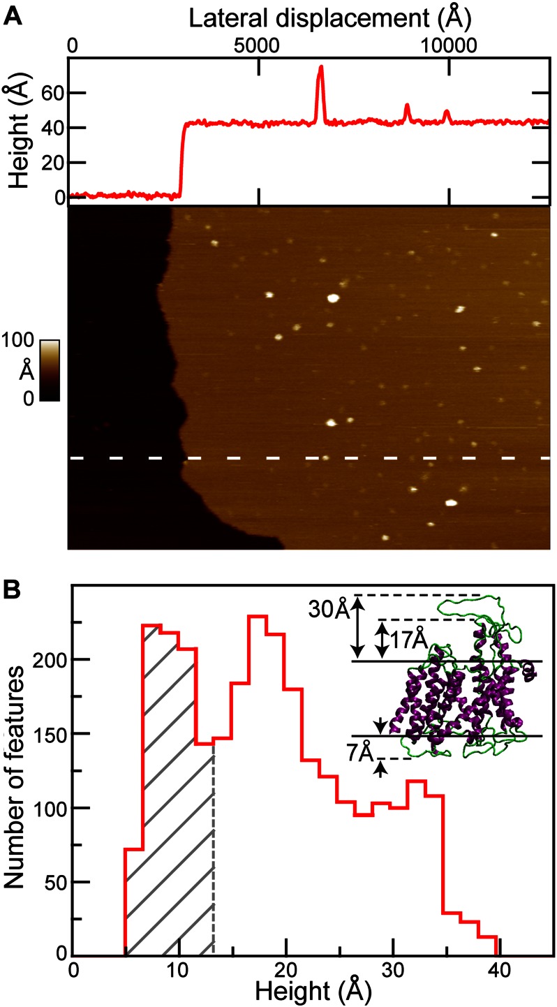 FIGURE 2.