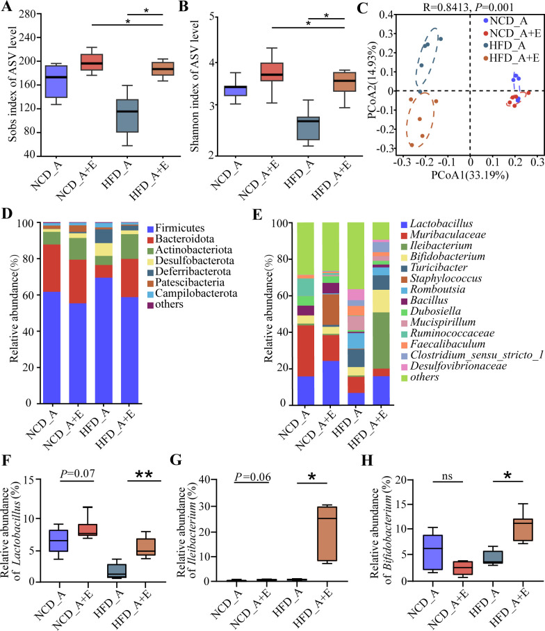 Graphs feature reduced gut microbiota diversity, alpha and beta, in eIF6-deficient mice under NCD and HFD, with distinct clustering and shifts in specific taxa abundance due to diet and eIF6 deficiency.