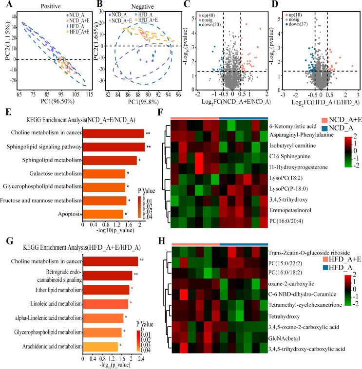 Graphs feature clustering and gene expression based on diet and eIF6 deficiency, which affects biological functions, with pathways impacted in NCD and HFD. Metabolite analysis features differentially expressed metabolites compared to controls.