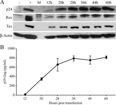 FIG. 2.