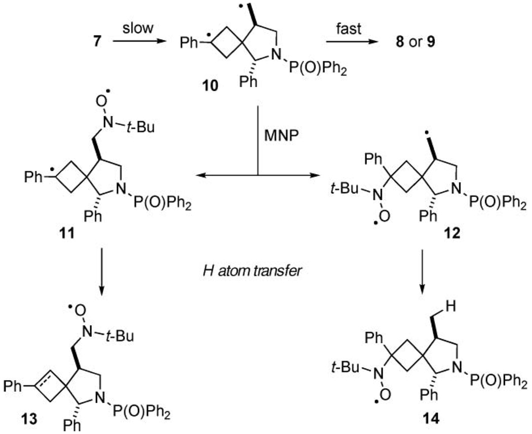 Scheme 3