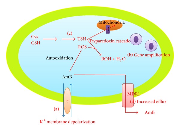 Figure 2