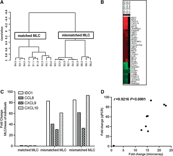 TAN-12543-FIG-0001-c