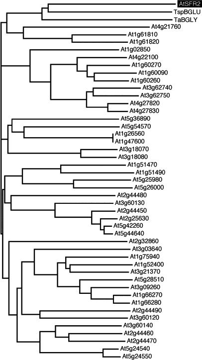 Figure 6.