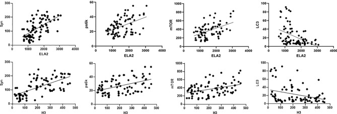 Figure 6