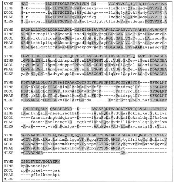 FIG. 6