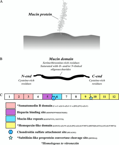 FIG. 2.