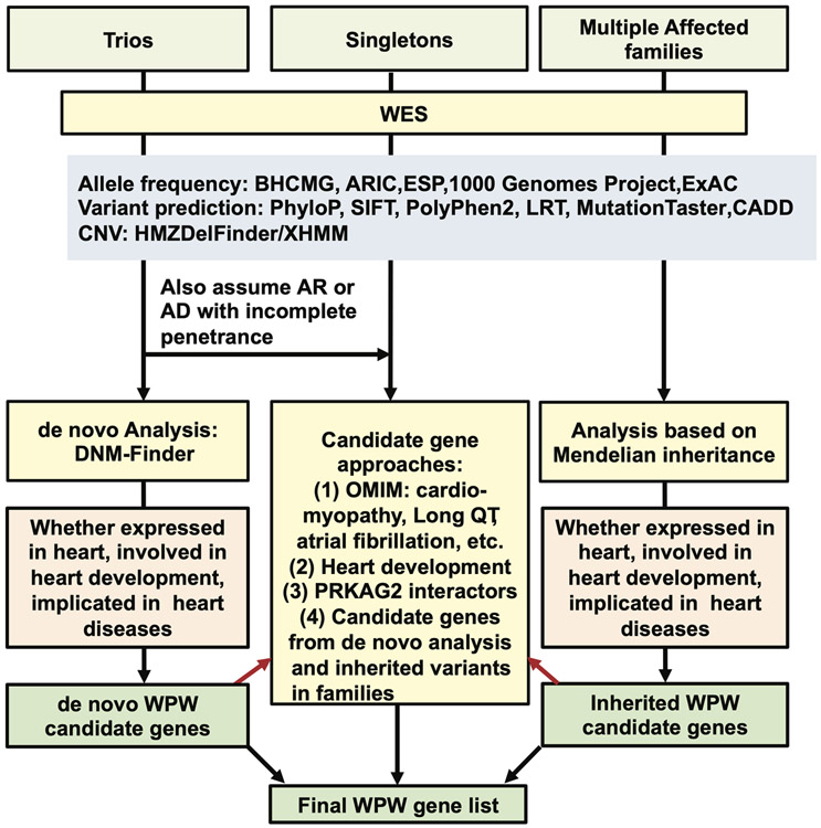 Figure 1: