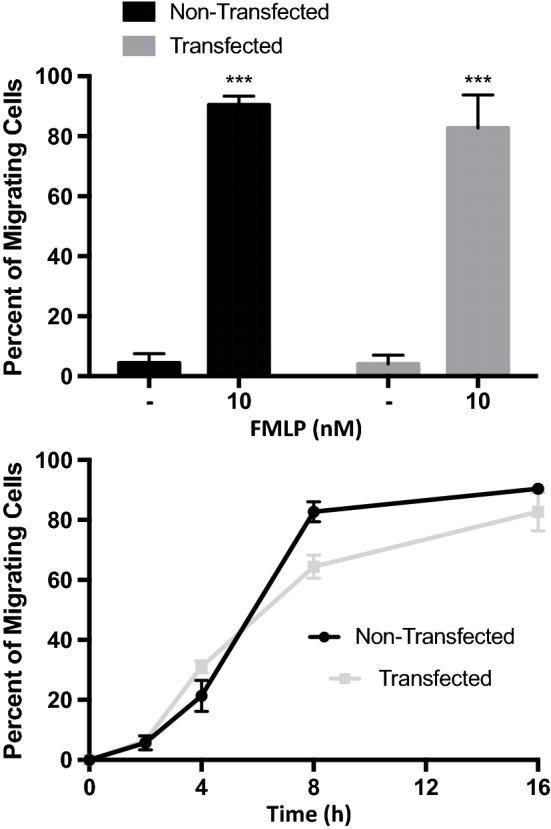 Figure 6