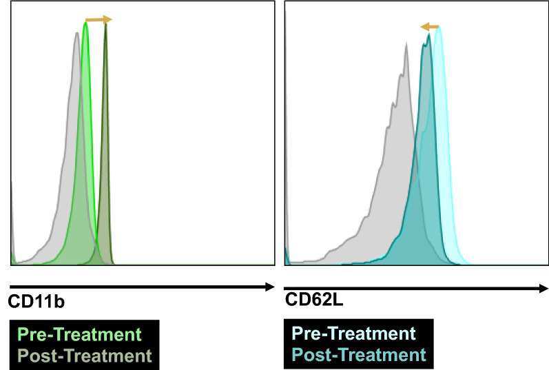 Figure 5