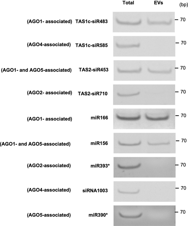 Extended Data Fig. 6