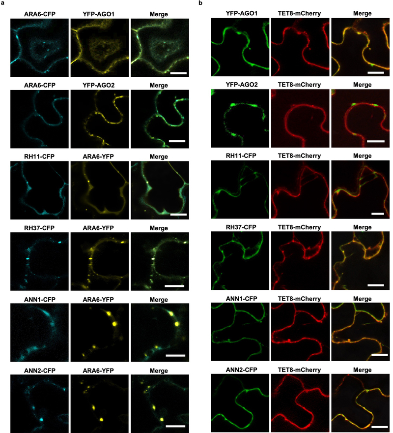 Extended Data Fig. 5