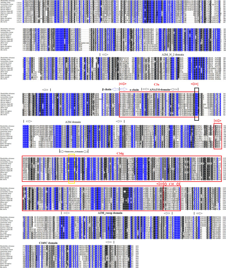 Figure 1