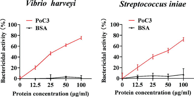 Figure 5