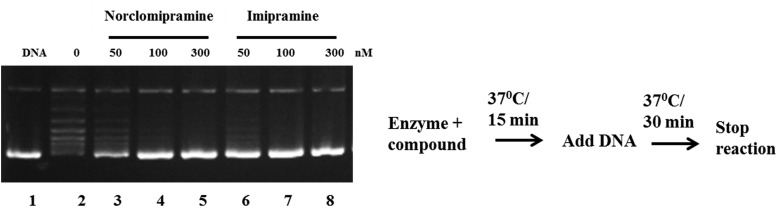 FIG 2