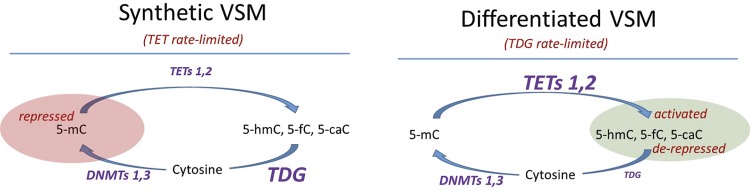 Fig. 8.