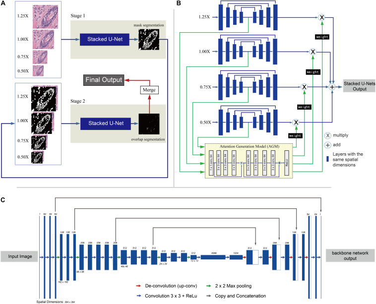 FIGURE 1