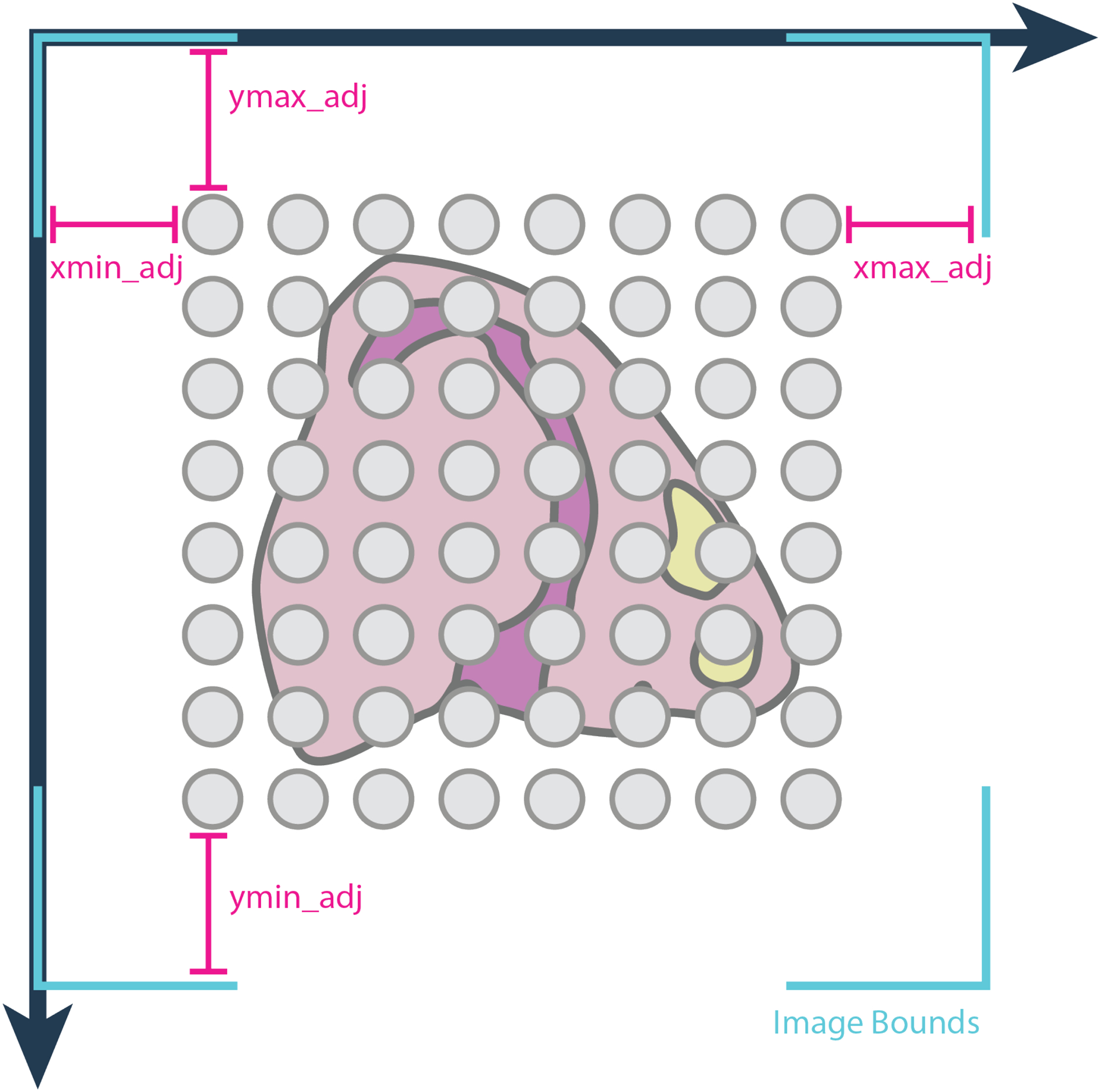 Figure 4: