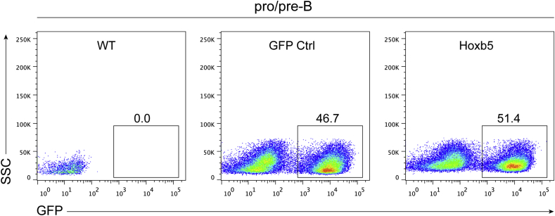 Fig. 3