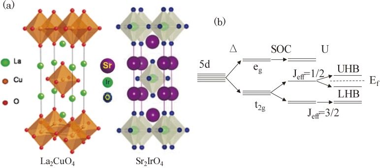 Figure 31. 