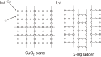 Figure 10.