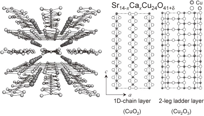 Figure 11. 