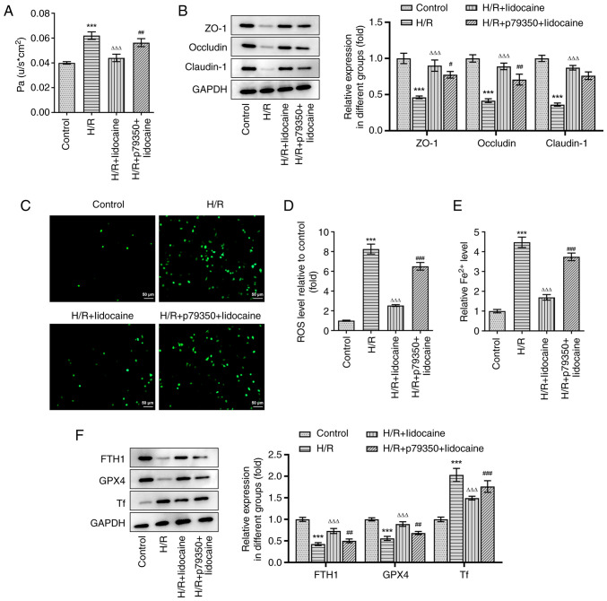 Figure 6.