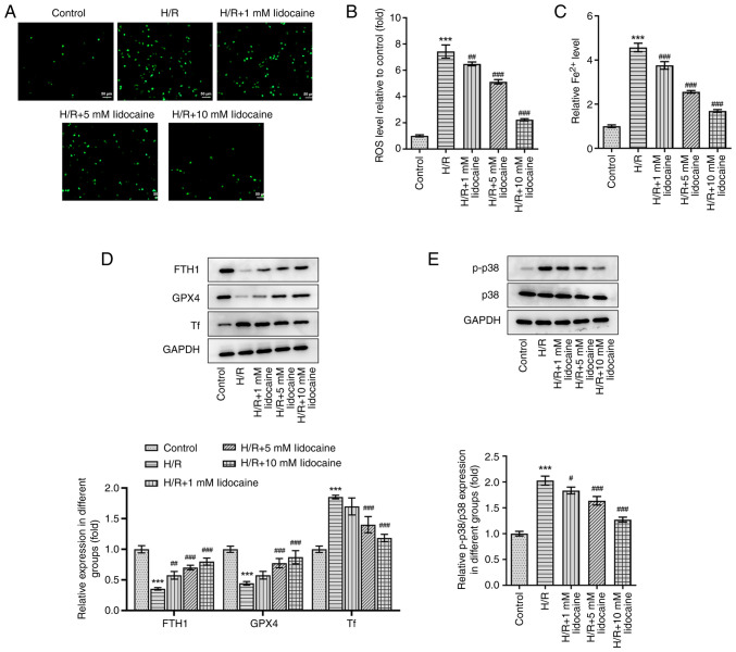 Figure 4.