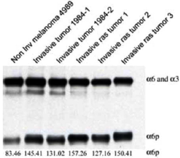 Fig. (3)