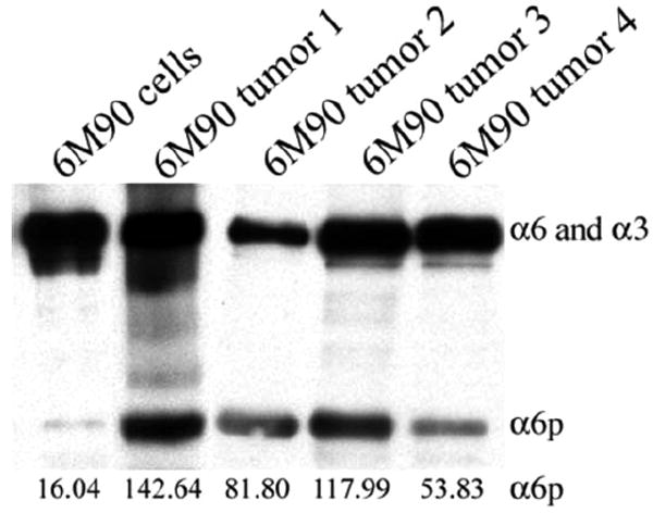 Fig. (4)