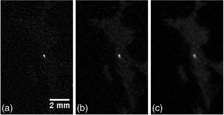 Fig. 3