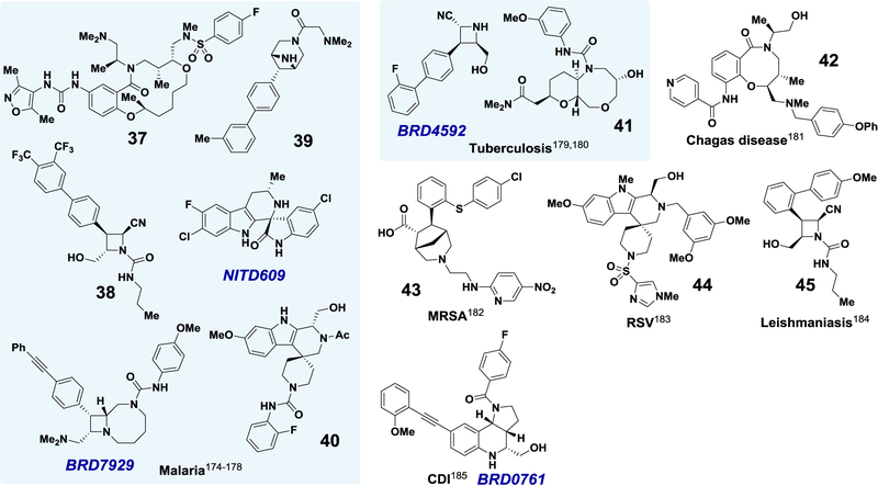 Figure 6 |