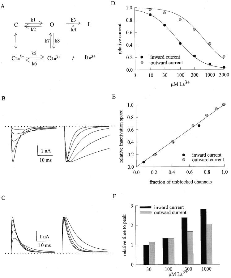 Figure 11. 