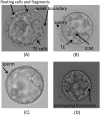 Fig. (2)