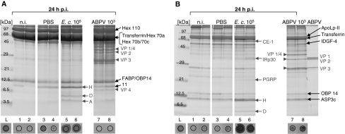 Fig. 4