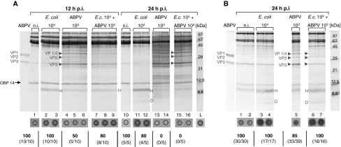 Fig. 6