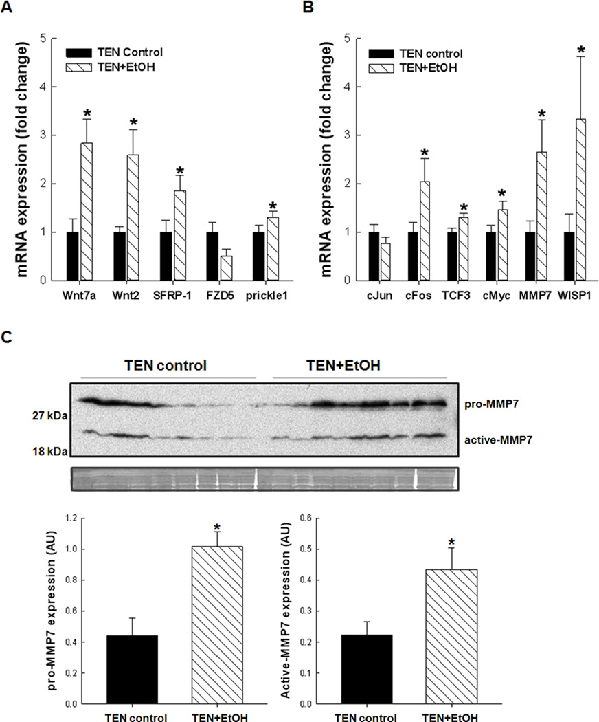 Figure 6