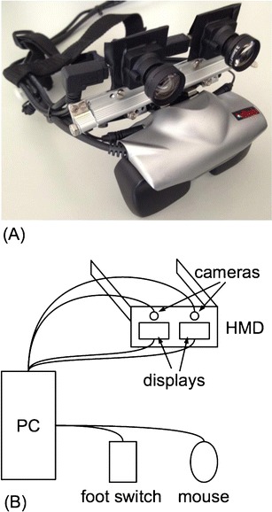 Fig. 1