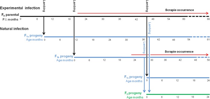 FIG 1