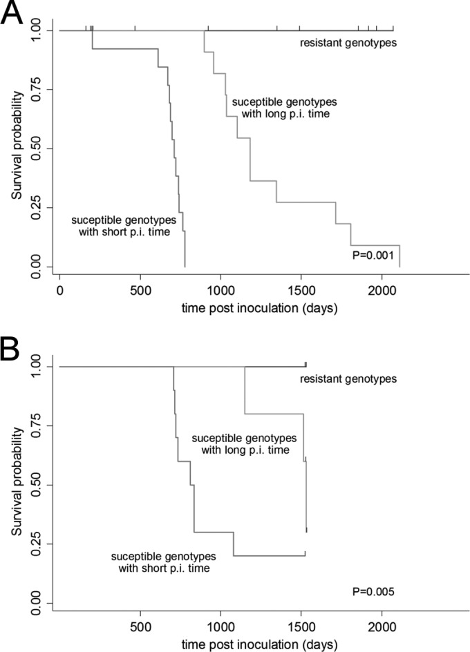 FIG 3