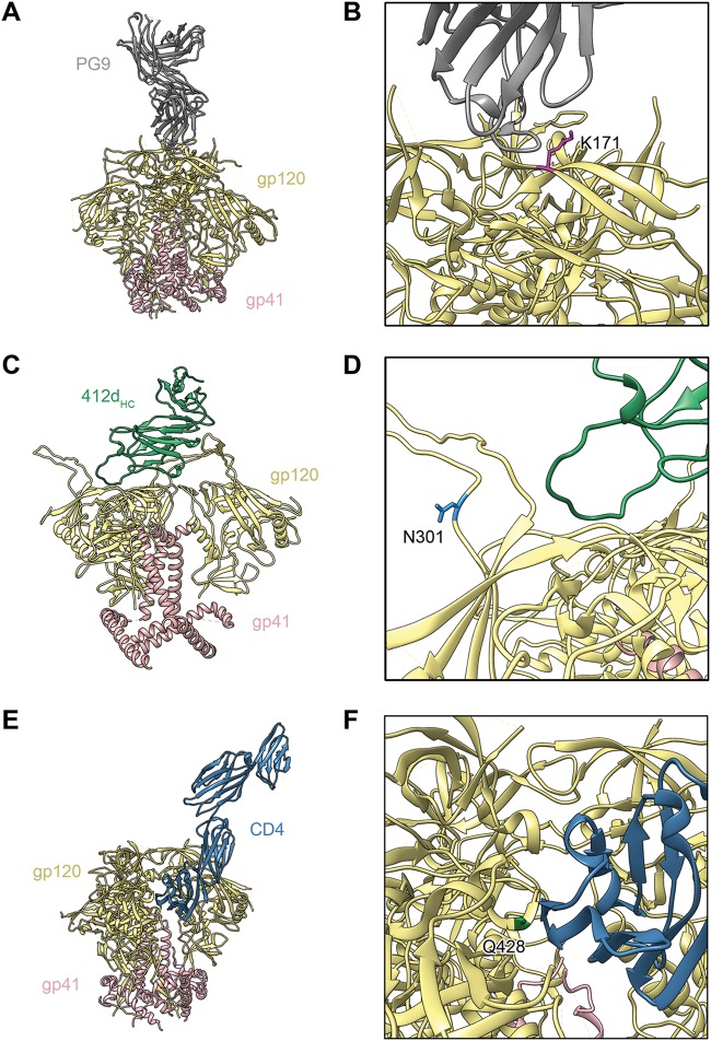 FIG 7