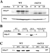 FIG. 2.