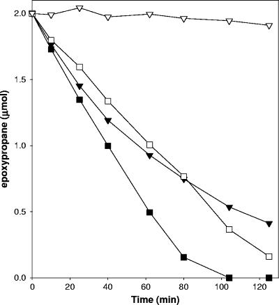 FIG. 5.