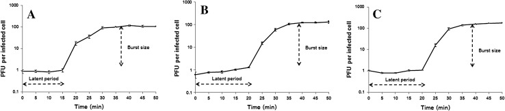 Fig. 3