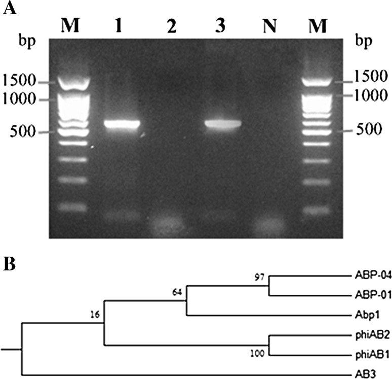 Fig. 5