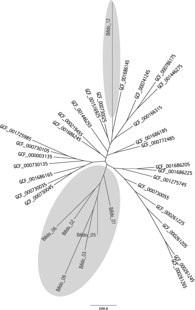 FIG 4