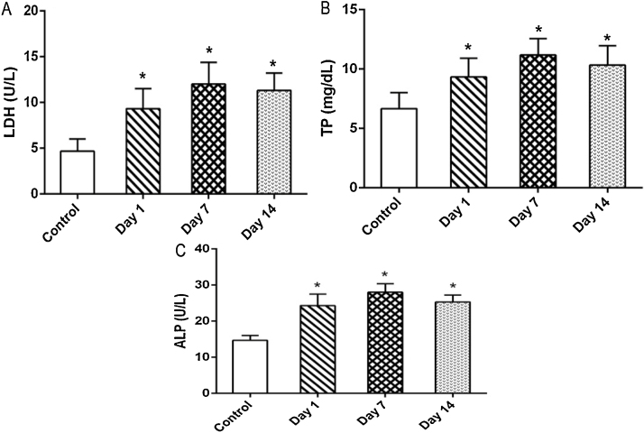 Fig. 7