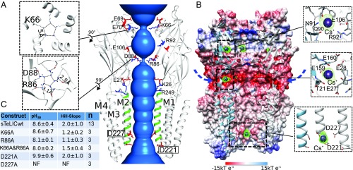 Fig. 3.