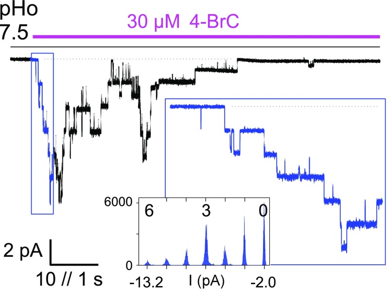 Fig. 7.